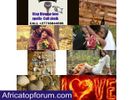 Powerful Herbalist Sangoma Traditional healer Love spell caster baba wanjimba in S.Africa +27736844586