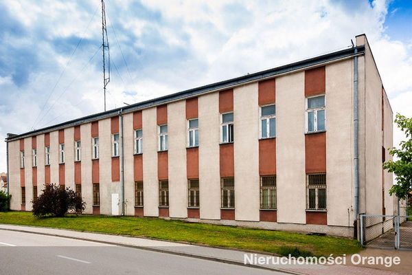 [T01912] Drzymały 1