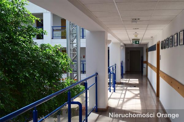 Rzut [T09144] Mikołajczyka 8 - T09144