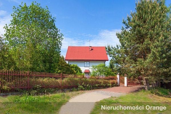 Rzut [T06382] 22 Lipca - T06382