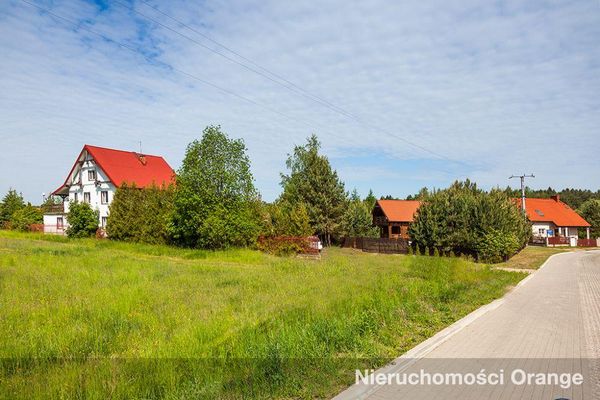 Rzut [T06382] 22 Lipca - T06382