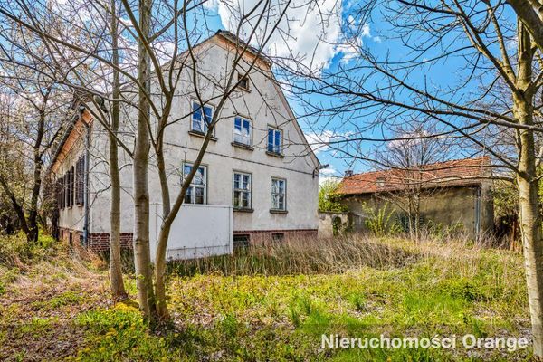 Rzut [T00209] gm. Nowogrodziec, 61 - T00209