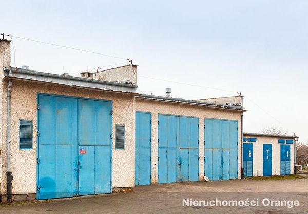 Rzut [T05447] Targowa 17 - T05447