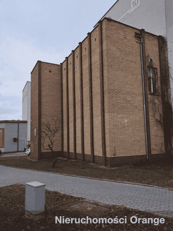 Rzut [T09924] Szarych Szeregów 10a - T09924