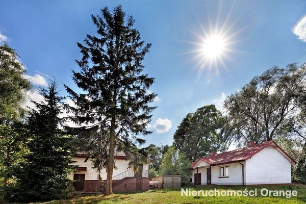 Rzut [T04155] Lipowa 2 - T04155