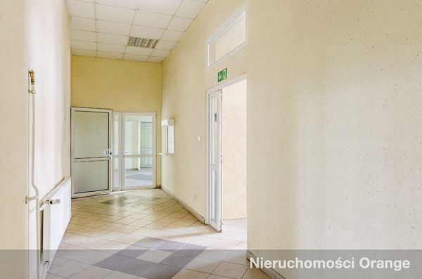 Rzut [T08709] Zwycięstwa 8 - T08709