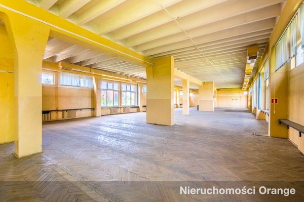 Rzut [T04371] Jana Pawła II 55 - T04371