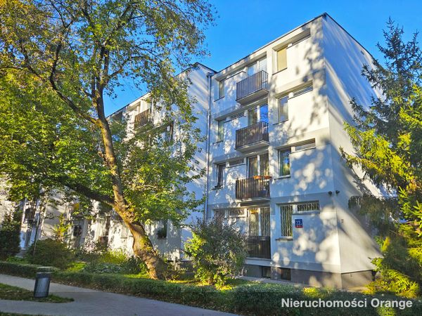 [T37552] Brazylijska 22A,