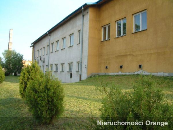 Rzut [T05291] Wiejska 7 - T05291