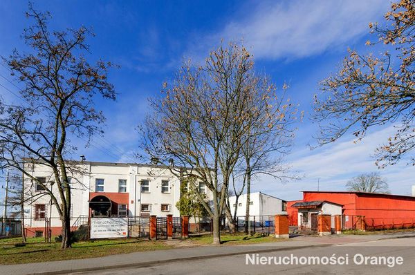 Rzut [T09788] Targowa 1 - T09788