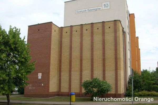 Rzut [T09924] Szarych Szeregów 10a - T09924