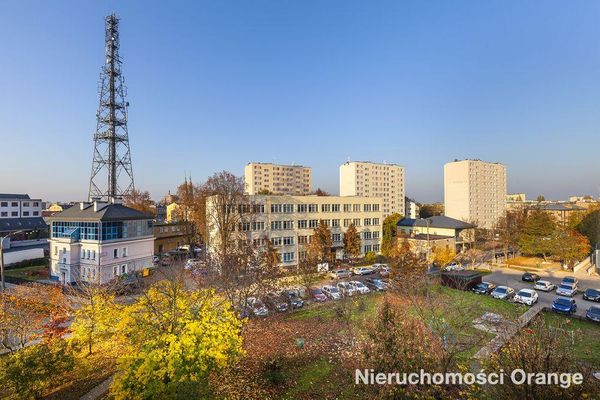 Rzut [T02882] Błonie 5 - T02882