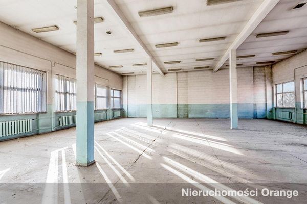 Rzut [T03552] Księcia Bogusława X 13 - T03552