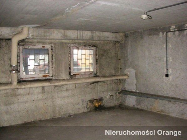 Rzut [T07402] - T07402