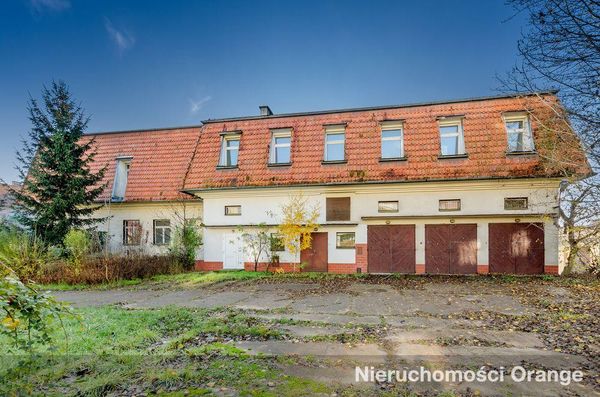 Rzut [T07990] Podwale 33a - T07990