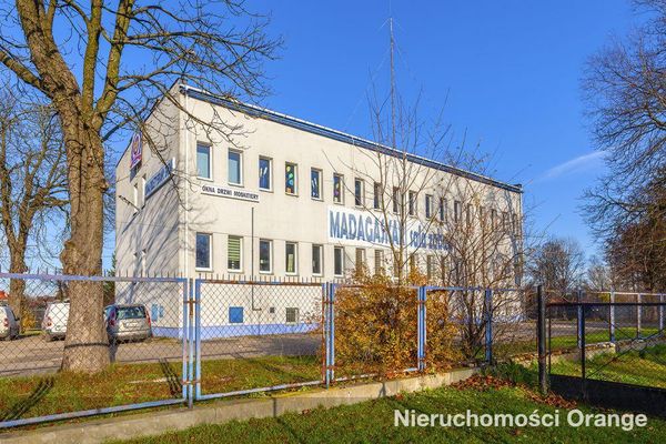 Rzut [T04932] Kajki 2 - T04932