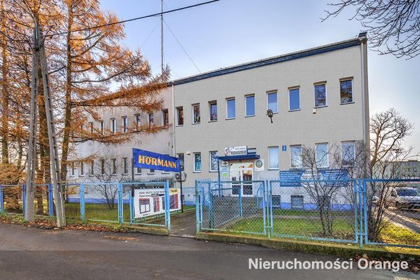 Rzut [T04932] Kajki 2 - T04932