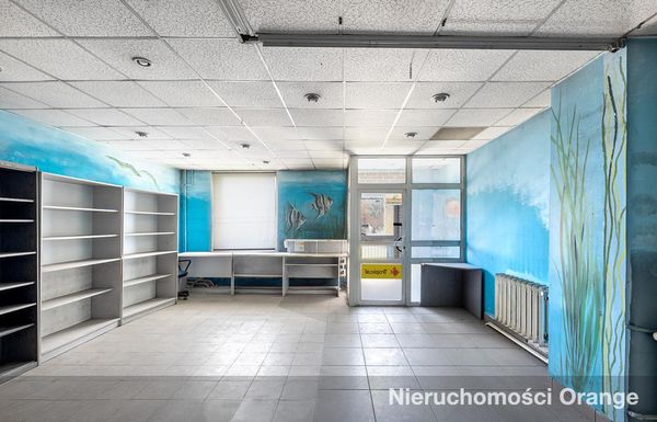 Rzut [T05463] Mickiewicza 10 - T05463