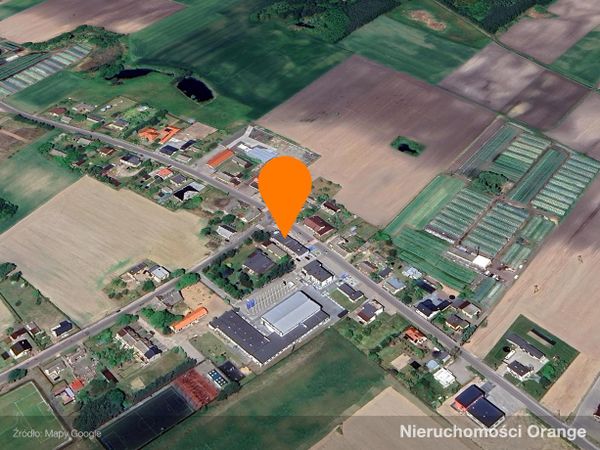 Rzut [T07402] - T07402