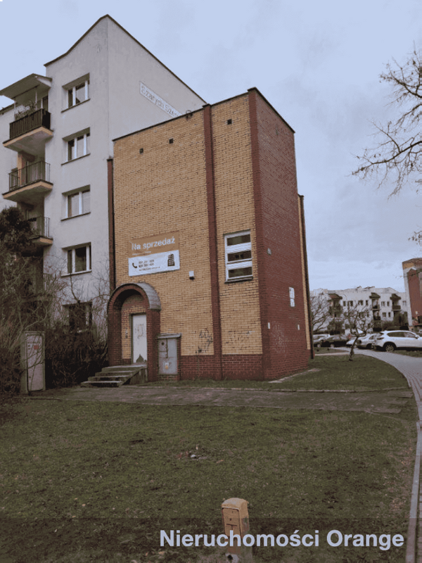 Rzut [T09924] Szarych Szeregów 10a - T09924