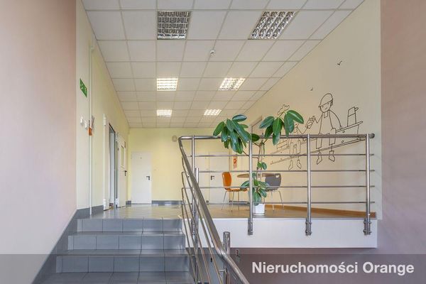 Rzut [T02882] Błonie 5 - T02882