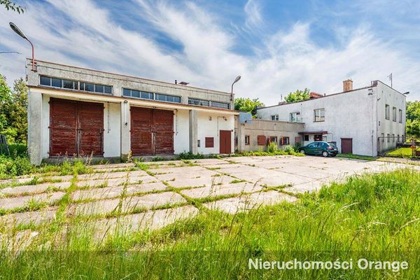 Rzut [T01115] Lazurowa 5 - T01115