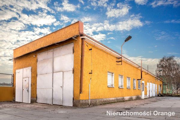 Rzut [T03552] Księcia Bogusława X 13 - T03552