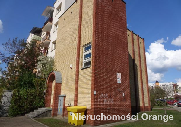 Rzut [T09924] Szarych Szeregów 10a - T09924