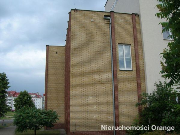 Rzut [T09924] Szarych Szeregów 10a - T09924