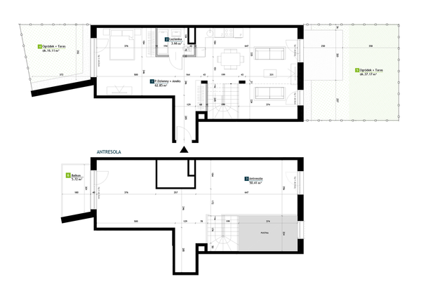 Rzut Viva Cité - AE0001
