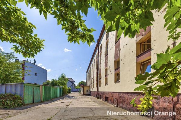 Rzut [T09316] Krótka 1a - T09316