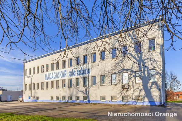 Rzut [T04932] Kajki 2 - T04932