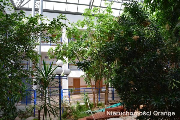 Rzut [T09144] Mikołajczyka 8 - T09144