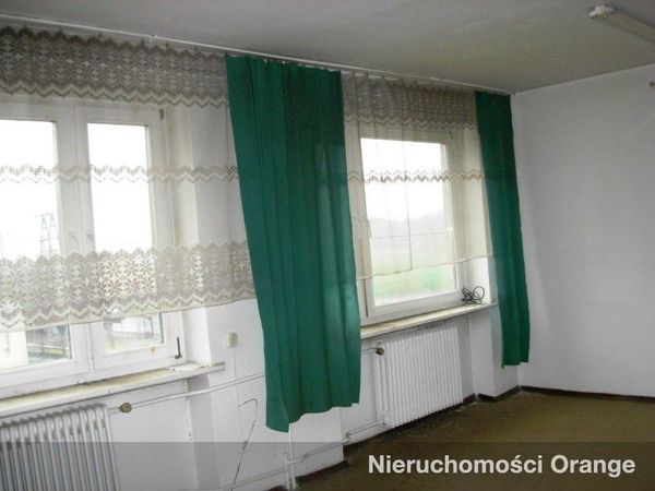 Rzut [T07402] - T07402