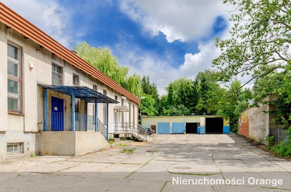 Rzut [T08709] Zwycięstwa 8 - T08709