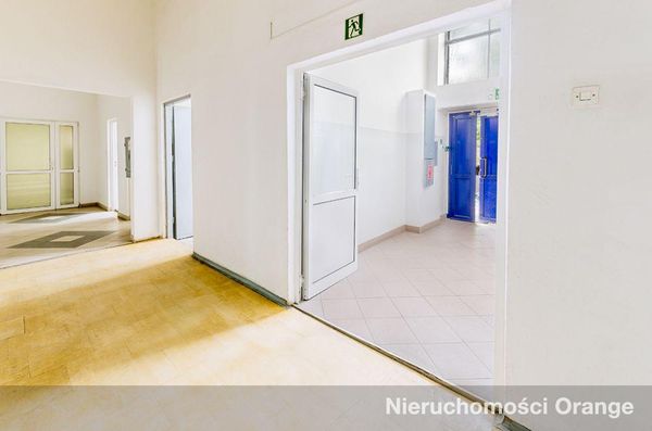 Rzut [T08709] Zwycięstwa 8 - T08709