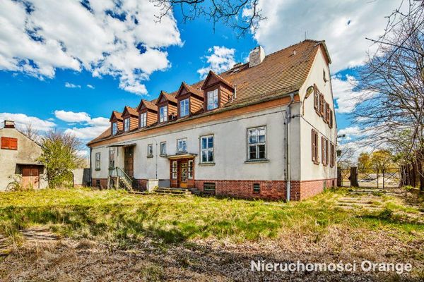 Rzut [T00209] gm. Nowogrodziec, 61 - T00209