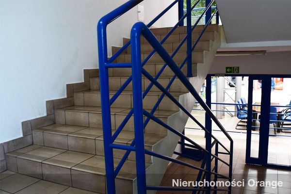 Rzut [T09144] Mikołajczyka 8 - T09144