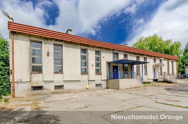 Rzut [T08709] Zwycięstwa 8 - T08709