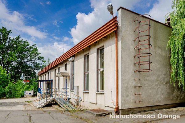 Rzut [T08709] Zwycięstwa 8 - T08709