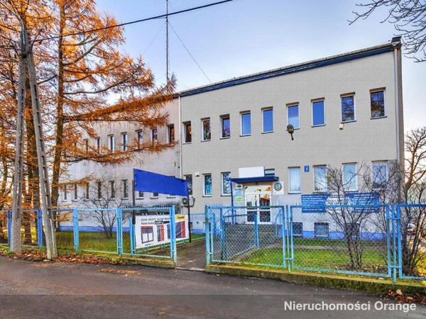 Rzut [T04932] Kajki 2 - T04932