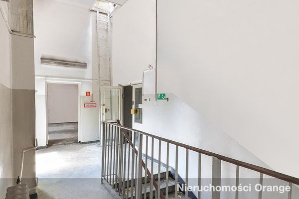 Rzut [T02848] Ligonia 5 - T02848