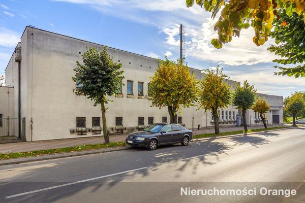 Rzut [T08177] Zgierska 6 - T08177