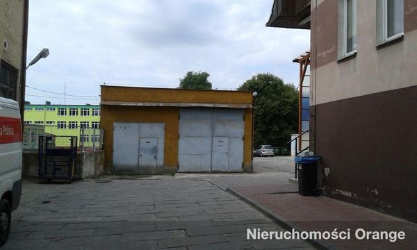 Rzut [T03552] Księcia Bogusława X 13 - T03552