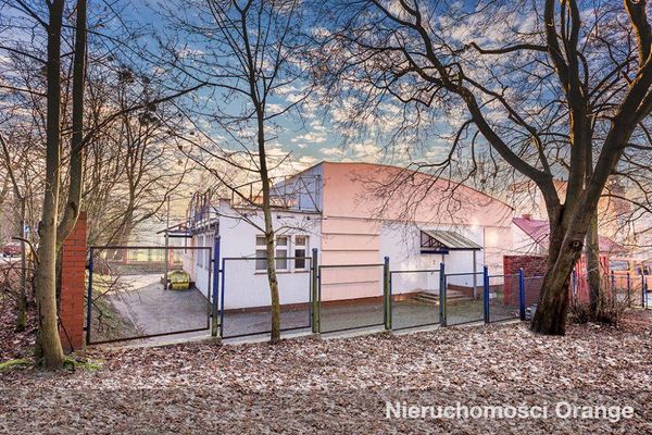 Rzut [T07831] Parkowa 1 - T07831