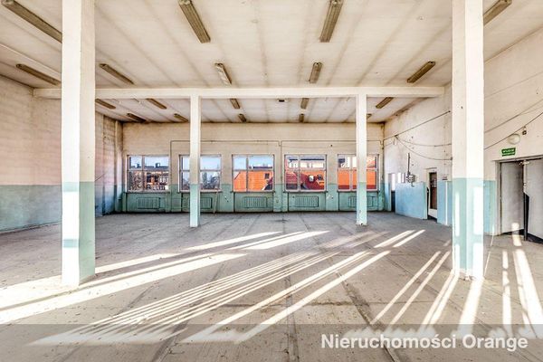 Rzut [T03552] Księcia Bogusława X 13 - T03552