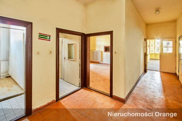 Rzut [T00209] gm. Nowogrodziec, 61 - T00209