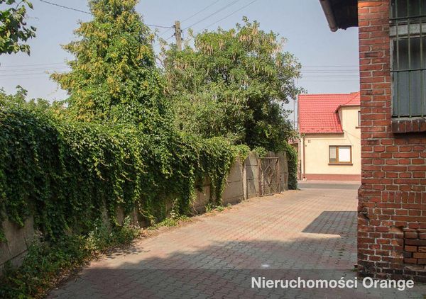 Rzut [T03388] Pleszewska 12 - T03388