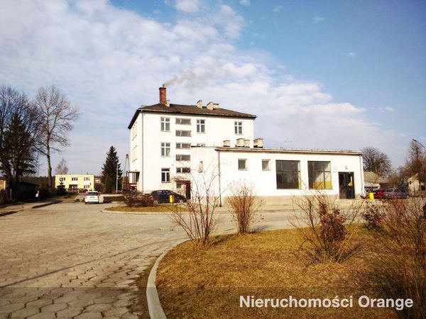 Rzut [T01038] Włodawska 10 - T01038