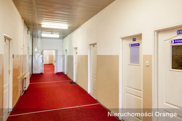 Rzut [T01912] Drzymały 1 - T01912